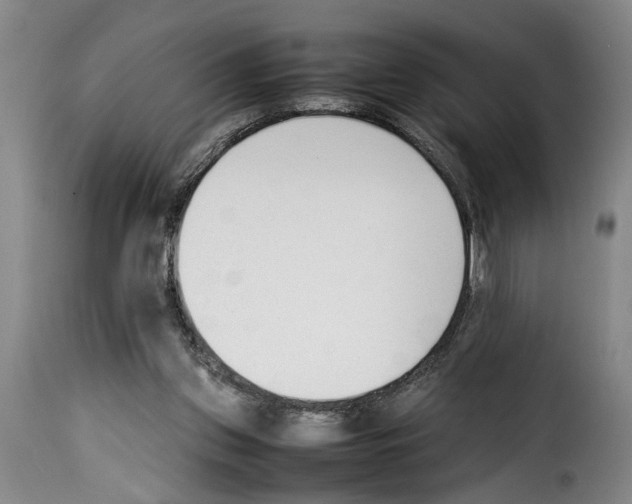 X0000114230157200911201118