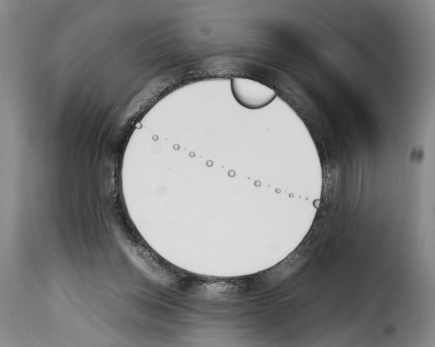 X0000114230158200911201118