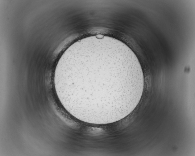 X0000114230159200911201118