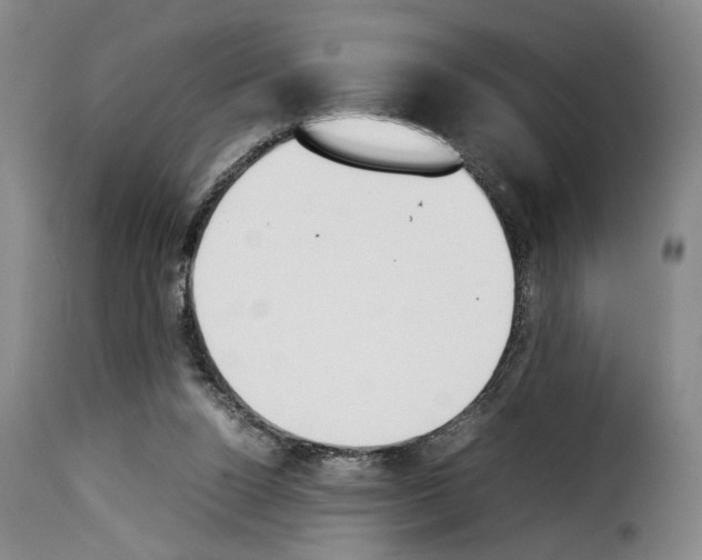 X0000114230160200911201118