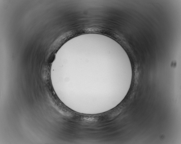 X0000114230161200911201118