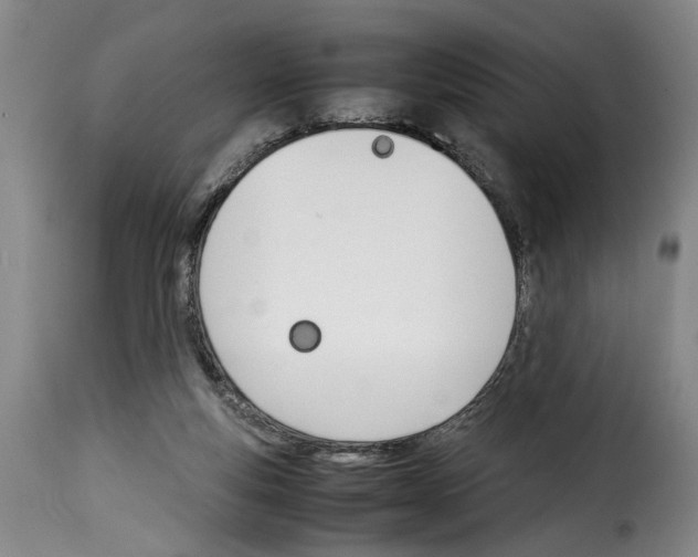 X0000114230163200911201118