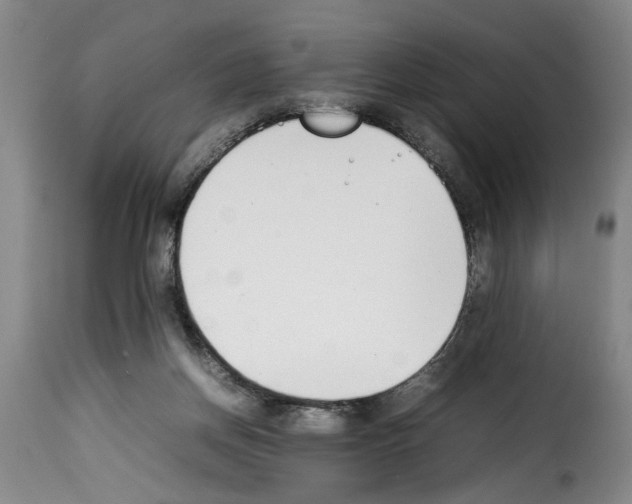 X0000114230166200911201118
