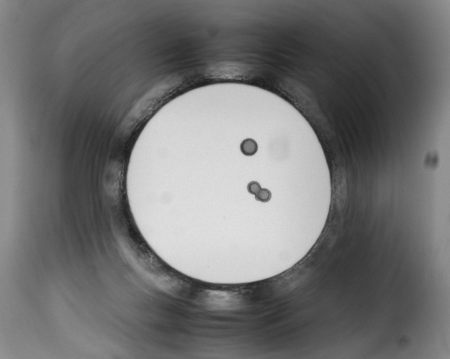 X0000114230167200911201118