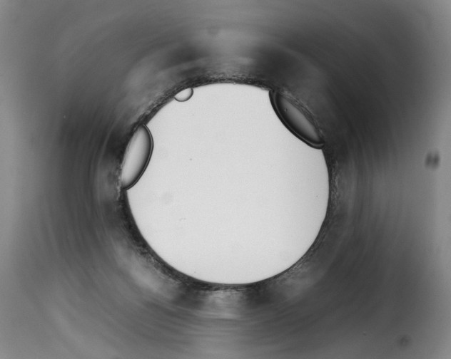 X0000114230168200911201118