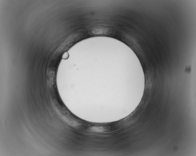 X0000114230171200911201118