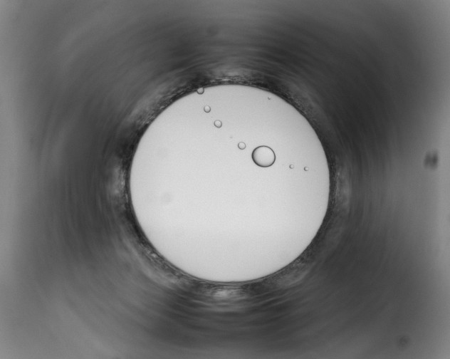 X0000114230173200911201118