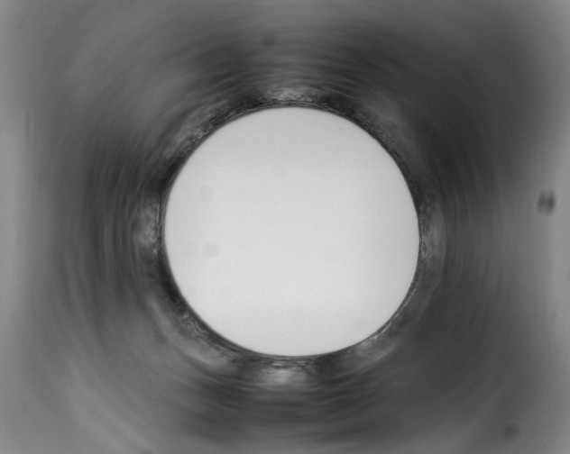 X0000114230175200911201118