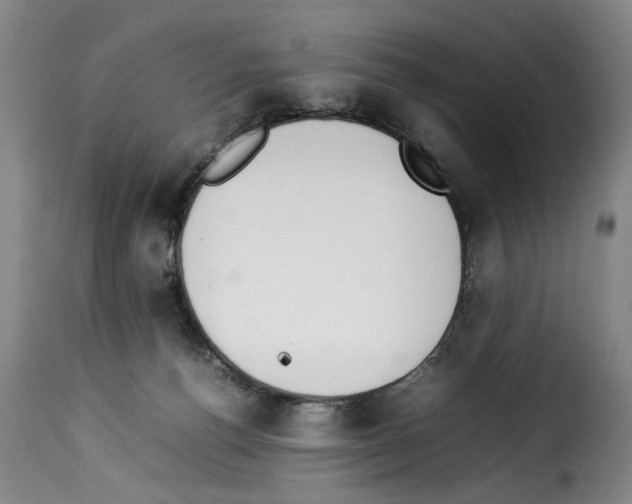 X0000114230176200911201118