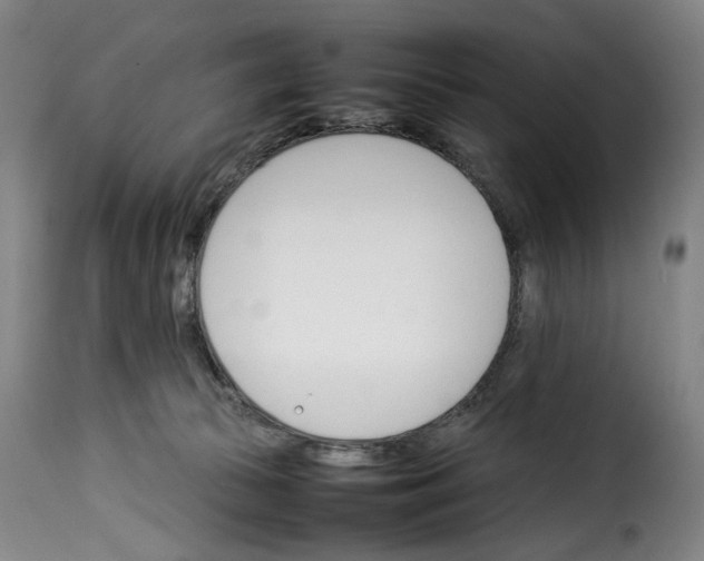 X0000114230177200911201118
