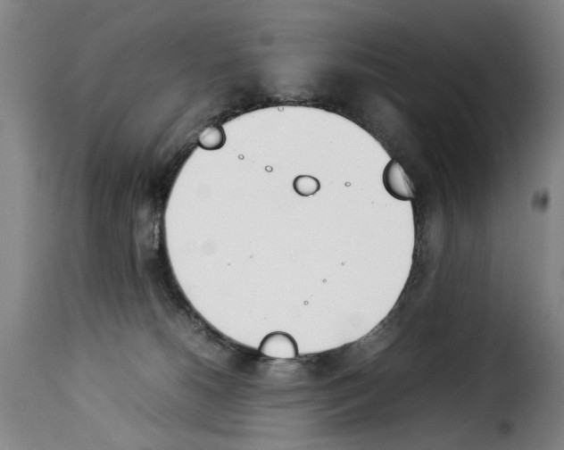 X0000114230180200911201118