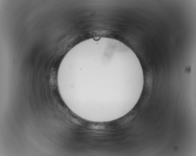 X0000114230181200911201118