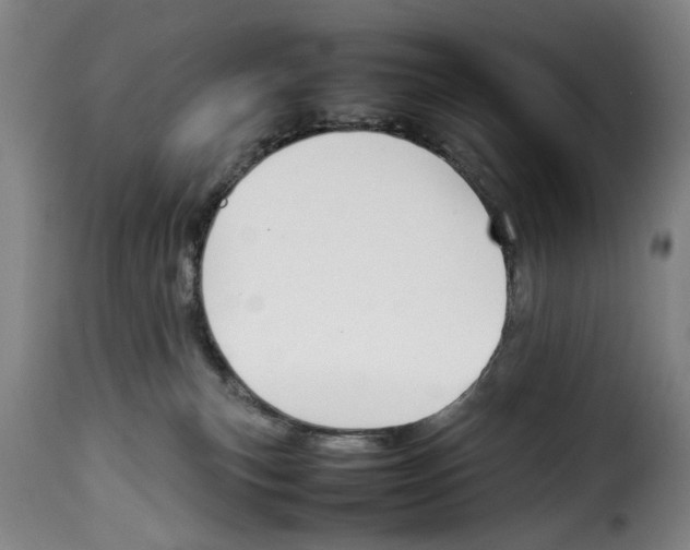 X0000114230183200911201118
