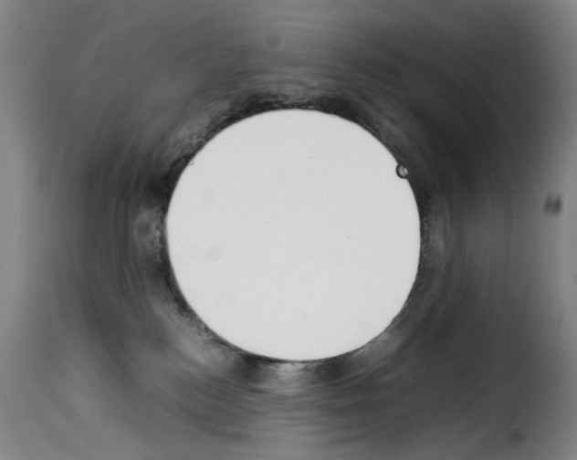 X0000114230184200911201119