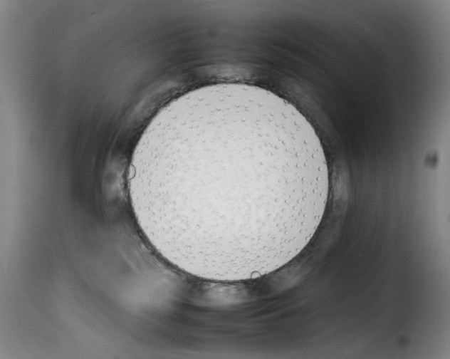 X0000114230185200911201119
