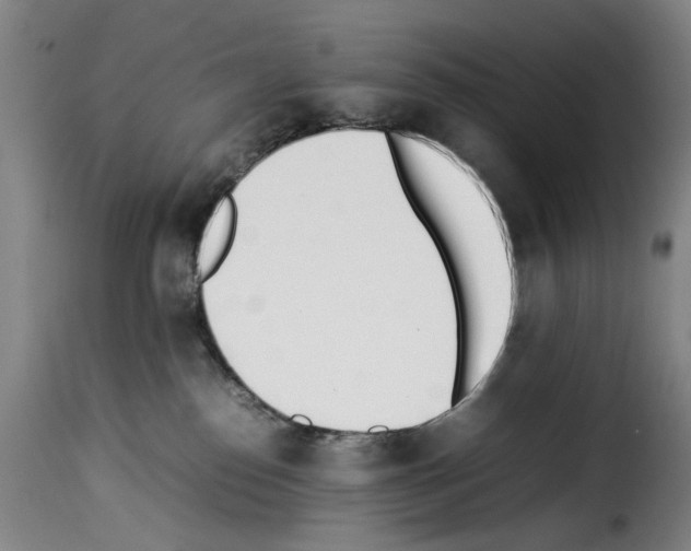X0000114230186200911201119