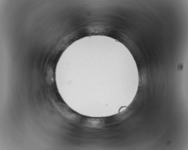 X0000114230187200911201119