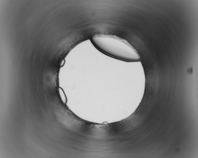 X0000114230188200911201119