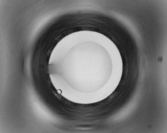X0000114230189200911201119