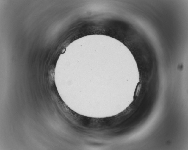X0000114230190200911201119