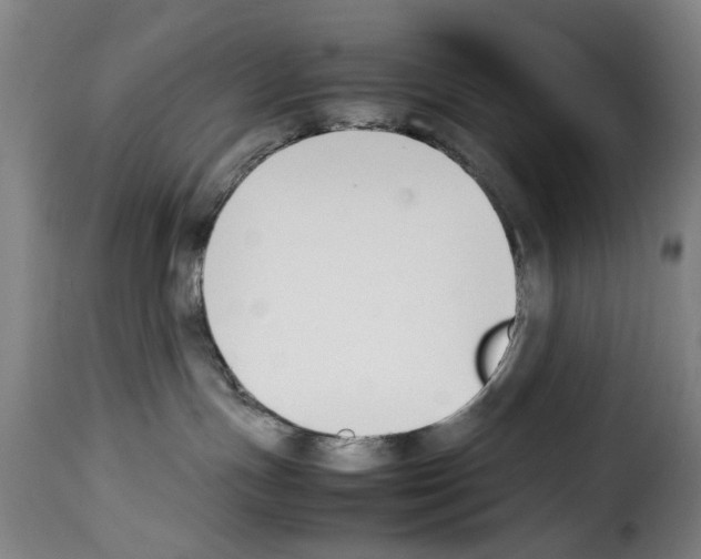 X0000114230191200911201119
