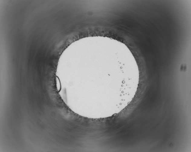 X0000114230192200911201119
