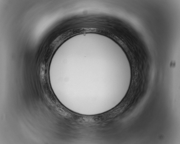 X0000114230194200911201118