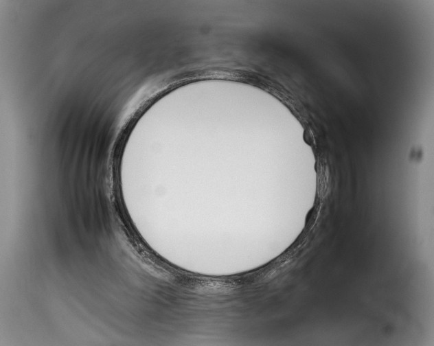 X0000114230198200911201118