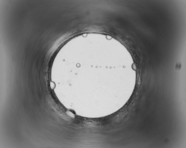 X0000114230199200911201118