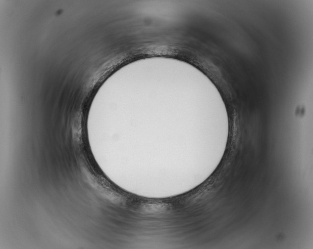 X0000114230202200911201117