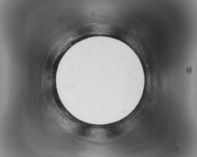 X0000114230203200911201117