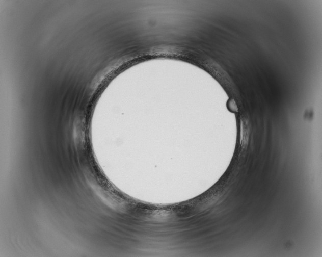 X0000114230204200911201117