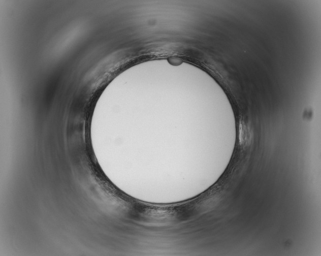 X0000114230205200911201117