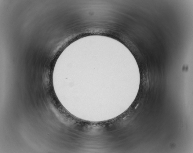 X0000114230208200911201117