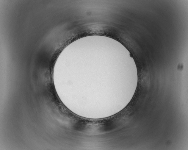 X0000114230213200911201117