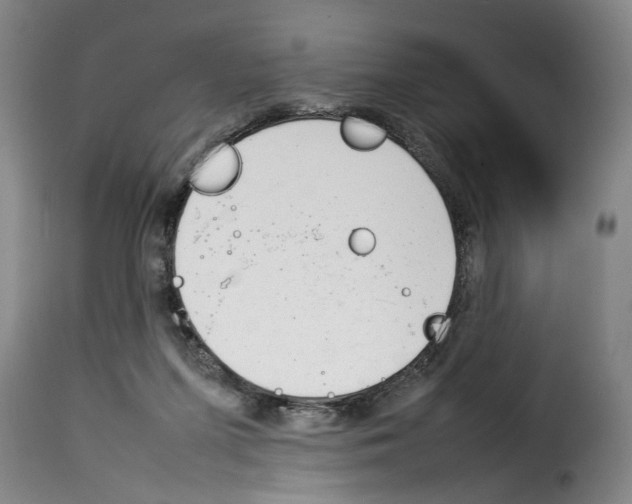 X0000114230215200911201117