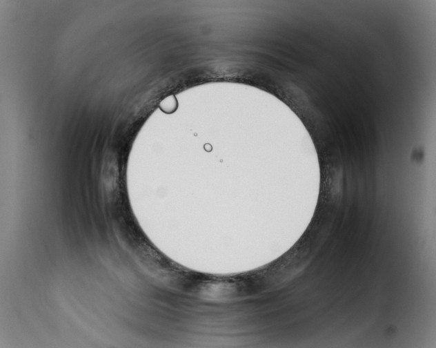 X0000114230220200911201117