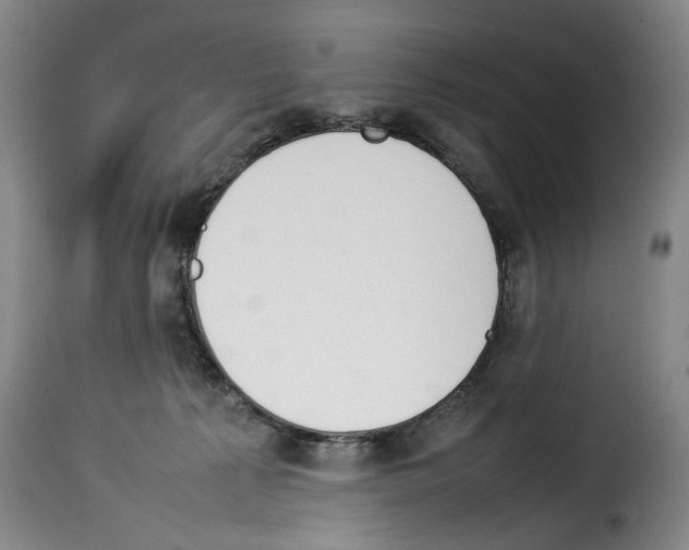 X0000114230225200911201117
