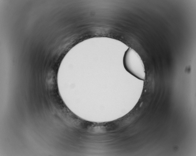 X0000114230228200911201117