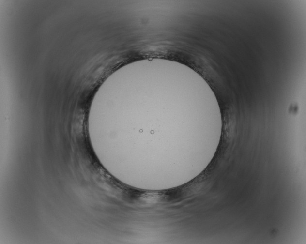 X0000114230231200911201117