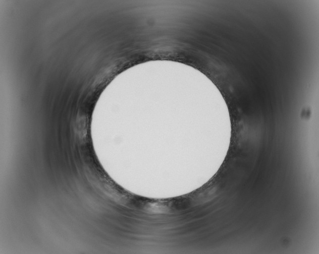 X0000114230232200911201117