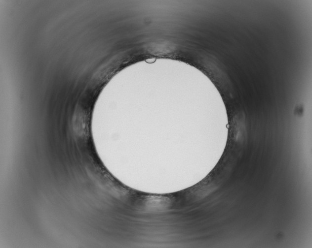 X0000114230234200911201117