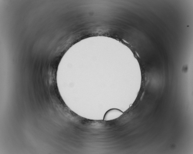 X0000114230236200911201117