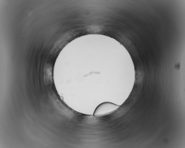 X0000114230238200911201117