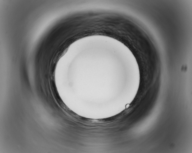 X0000114230239200911201117