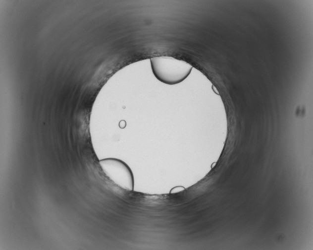 X0000114230240200911201117