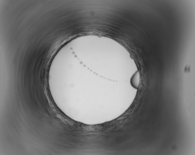 X0000114230241200911201116