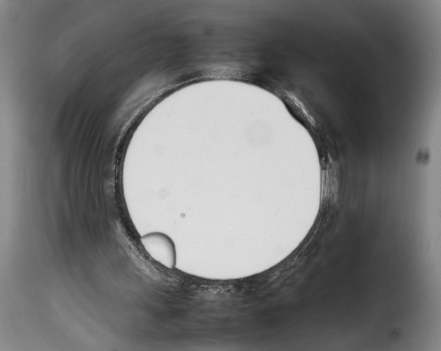 X0000114230243200911201116