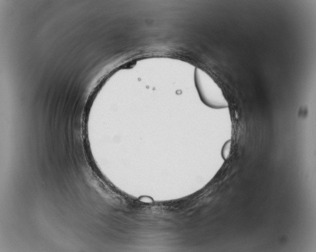 X0000114230244200911201116