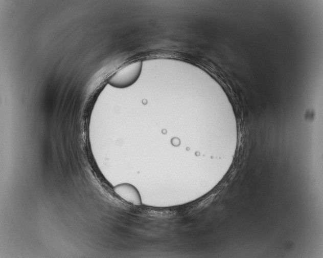 X0000114230245200911201116